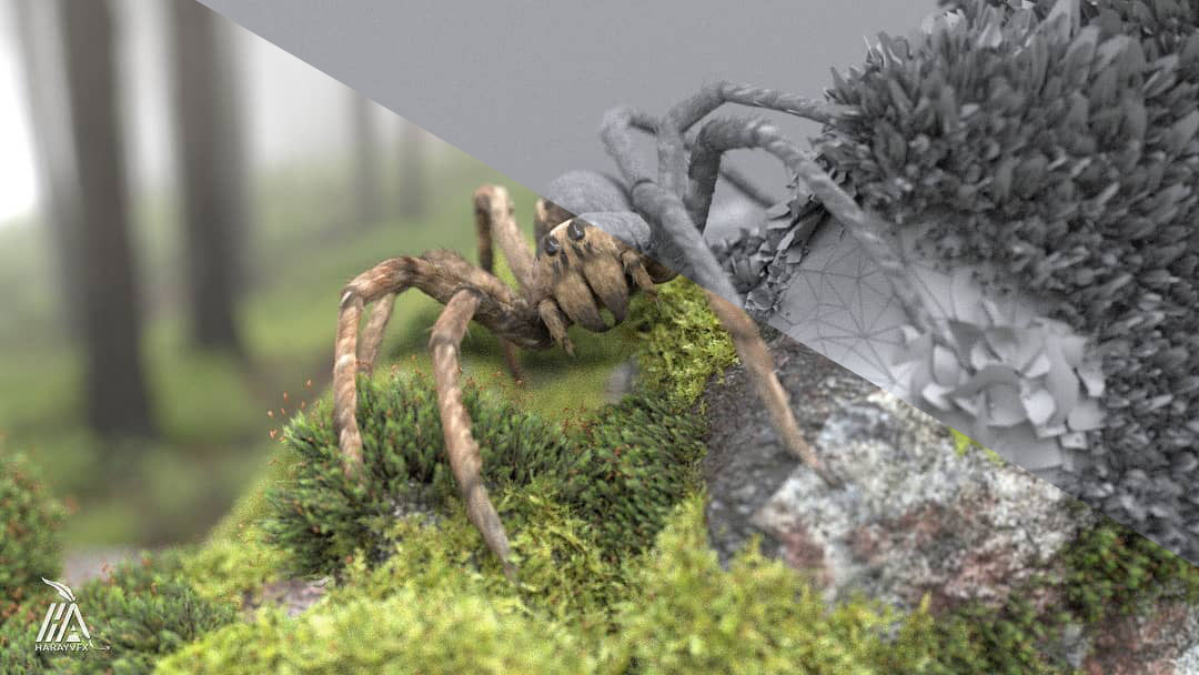 Spider 3D Render